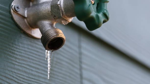 Best Pipe Repair Near Me  in Danbury, TX